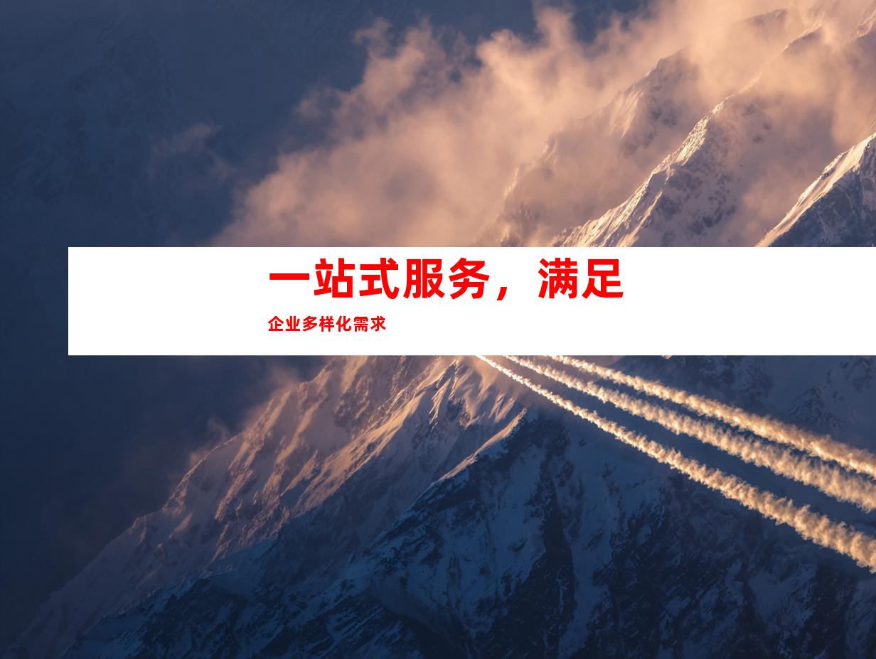 一站式服务，满足企业多样化需求