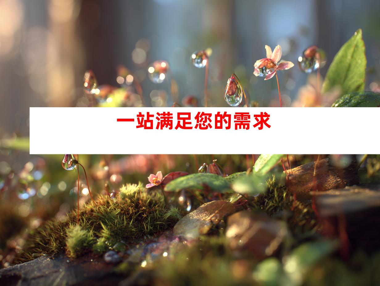 一站满足您的需求