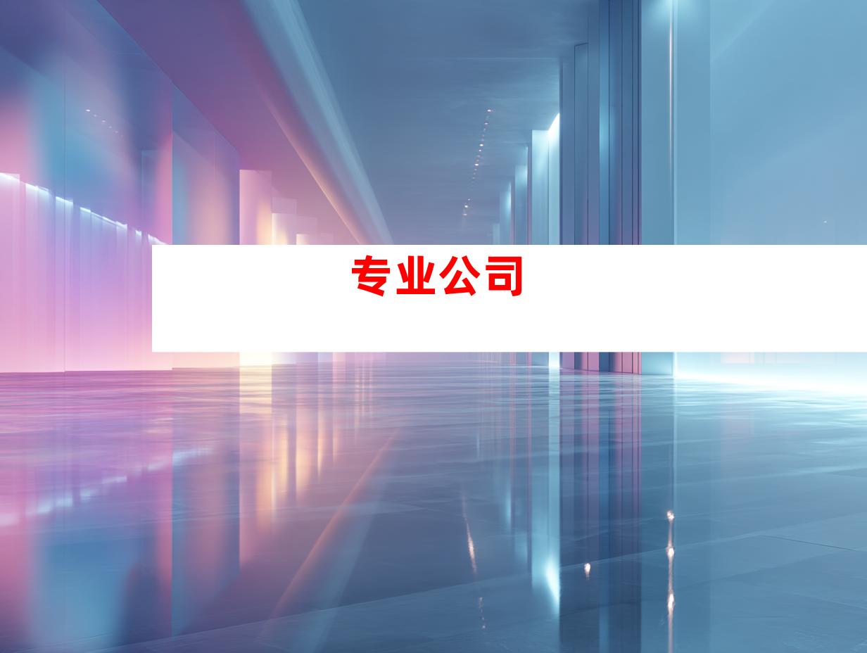 专业公司