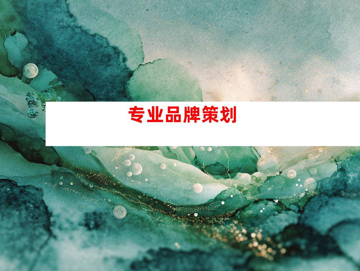 专业品牌策划