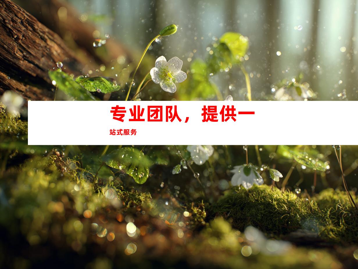 专业团队，提供一站式服务