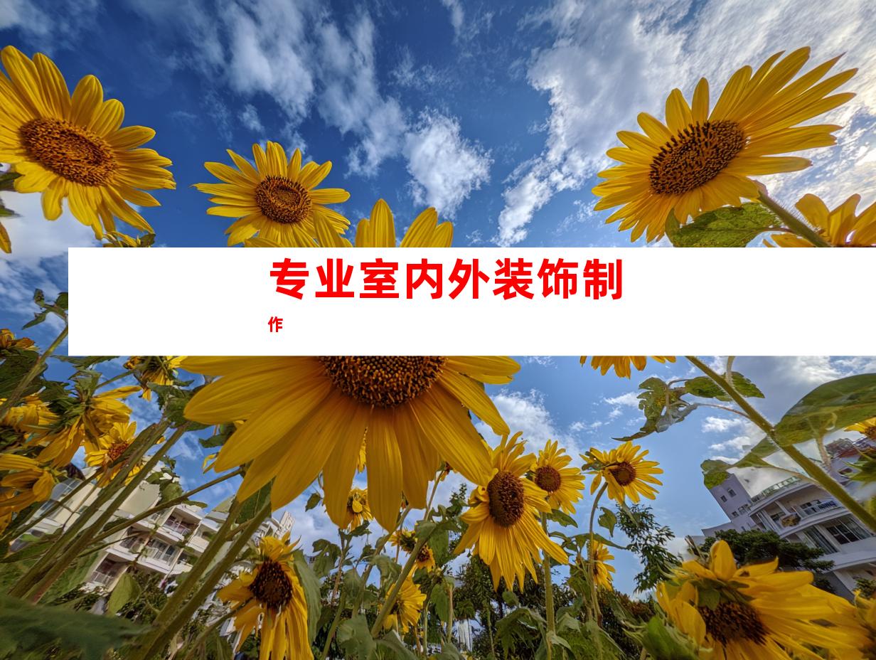 专业室内外装饰制作