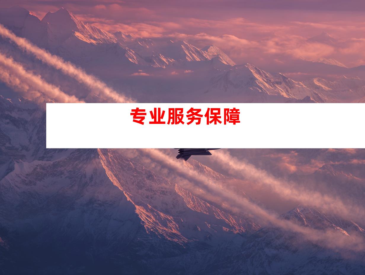 专业服务保障