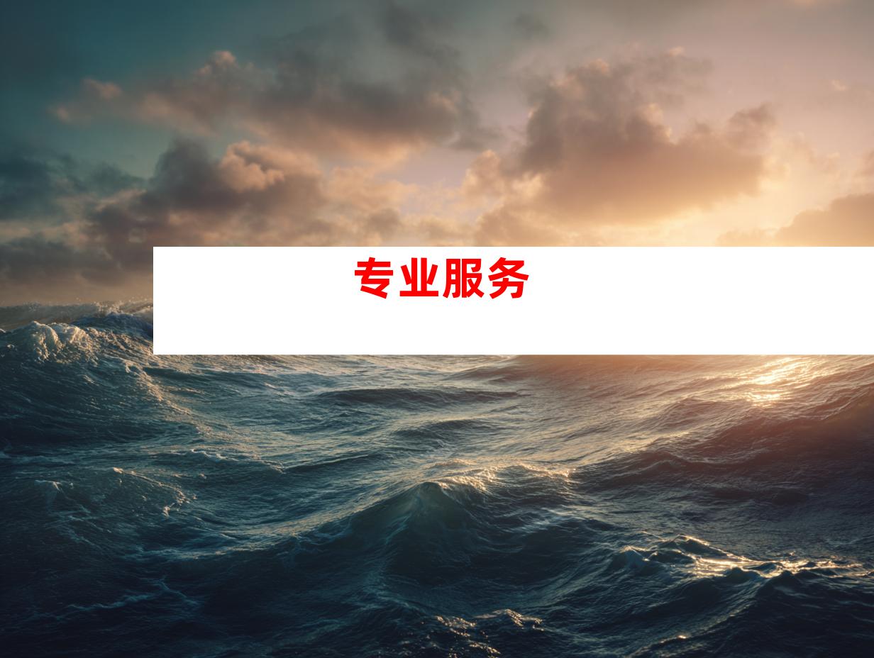 专业服务