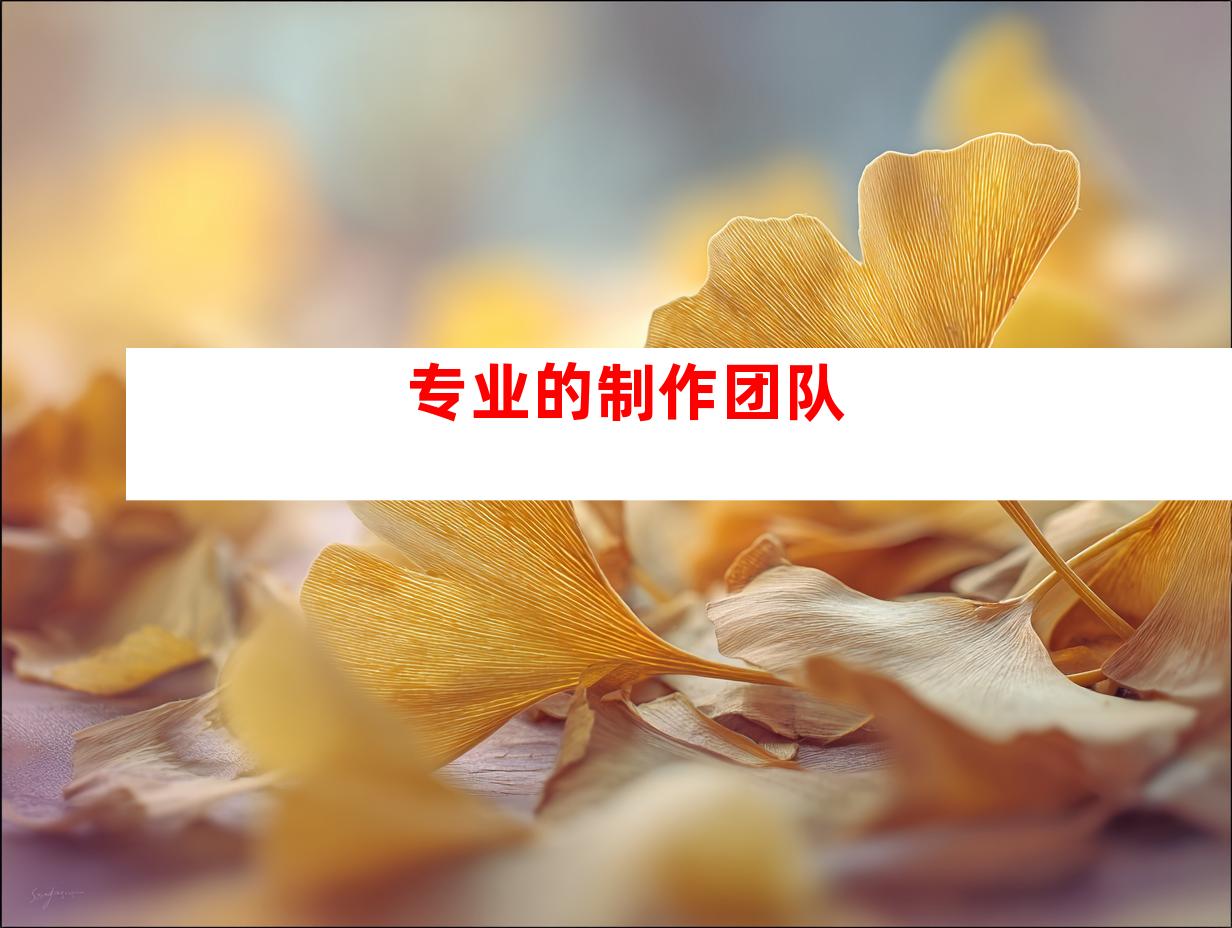专业的制作团队
