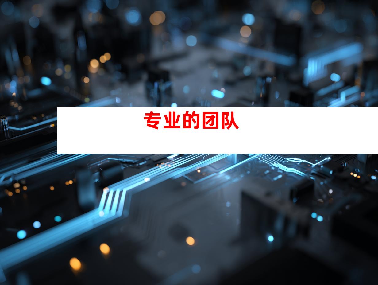 专业的团队