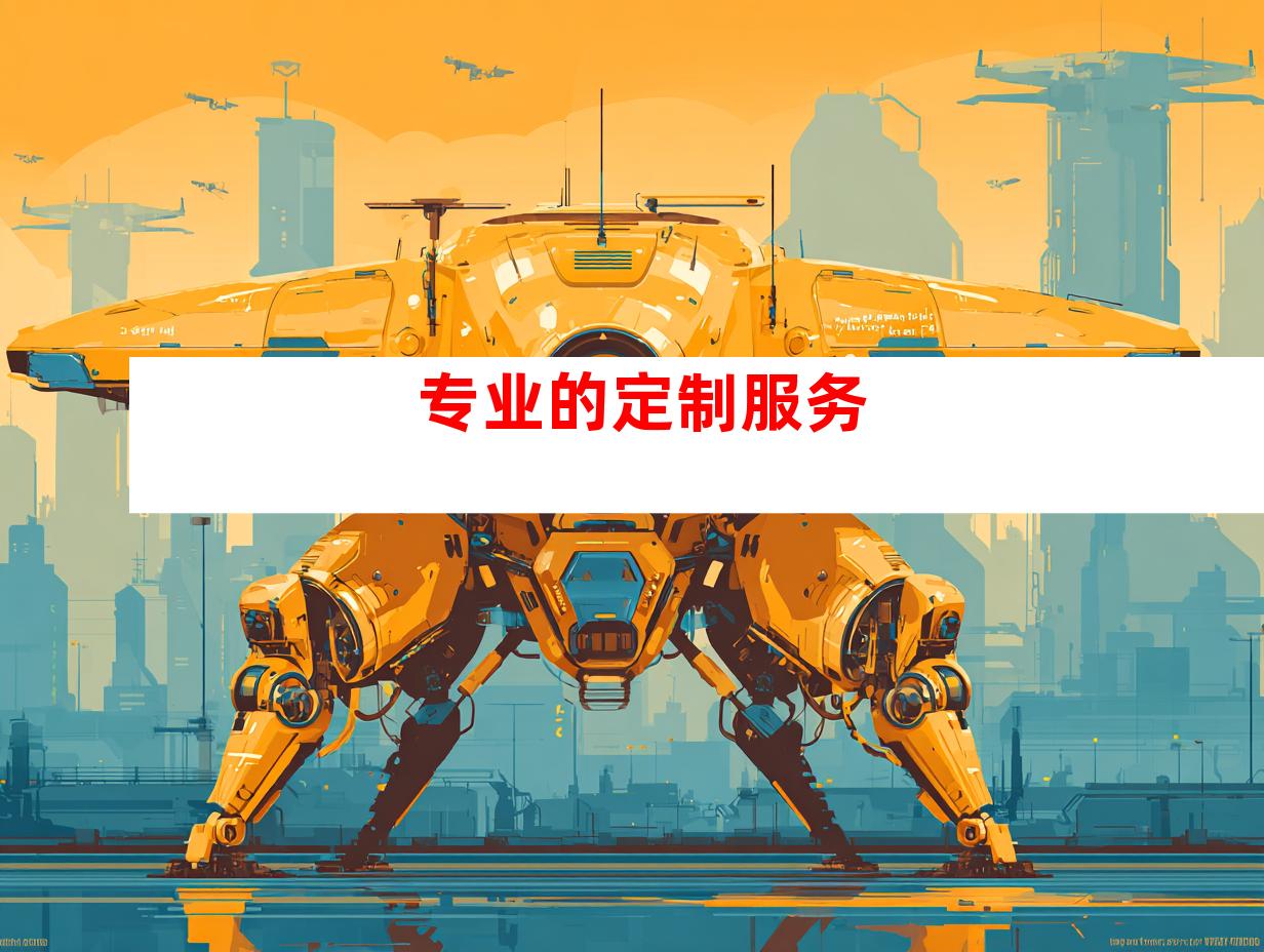 专业的定制服务