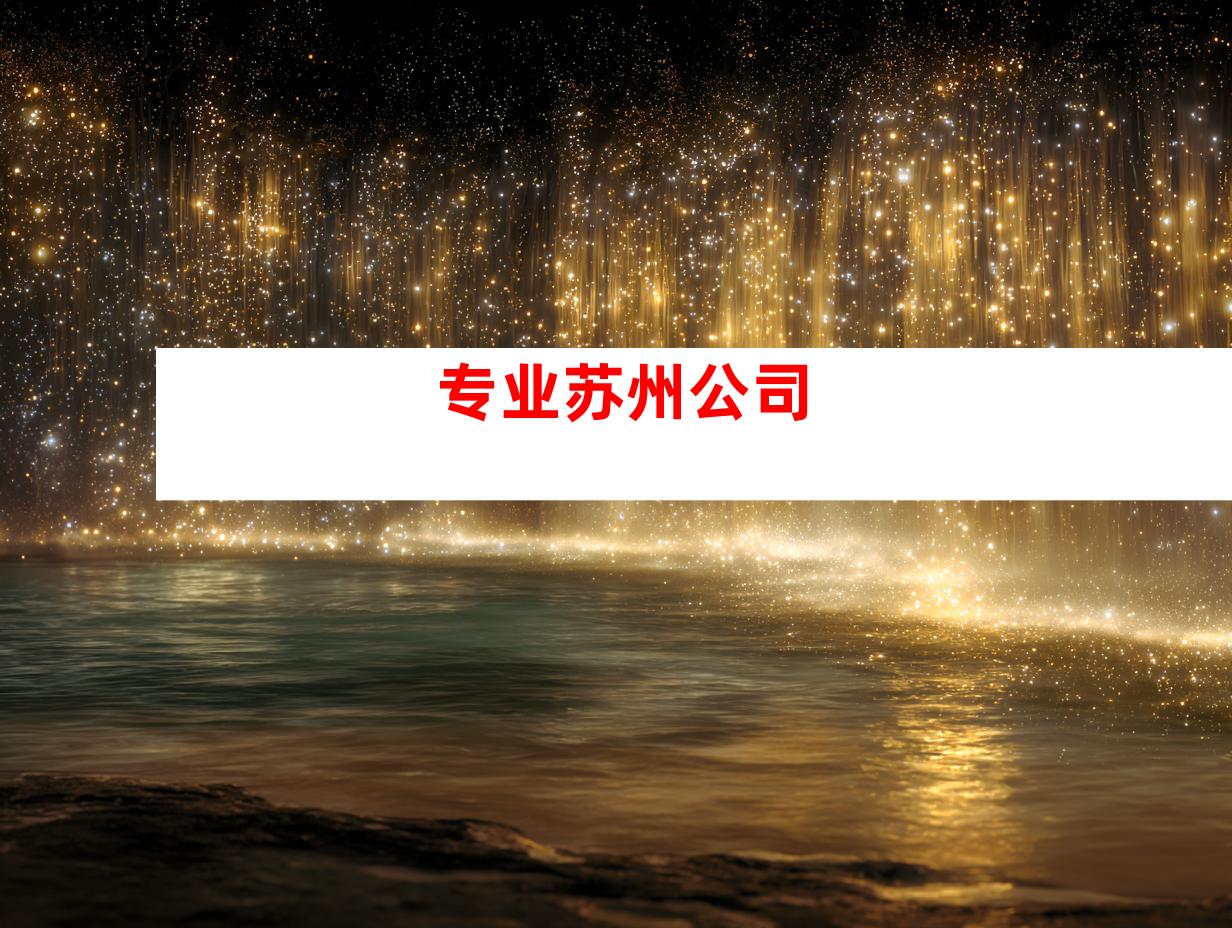 专业苏州公司