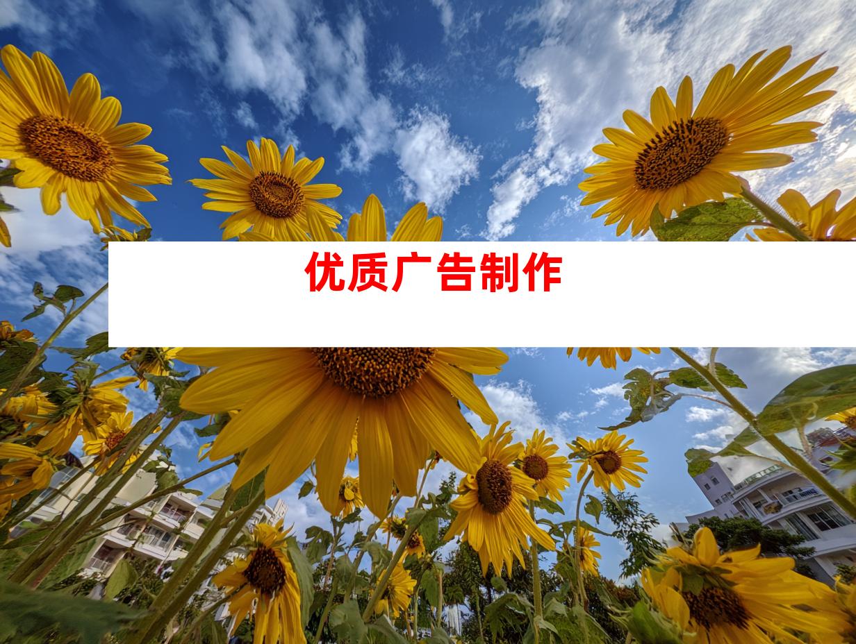优质广告制作