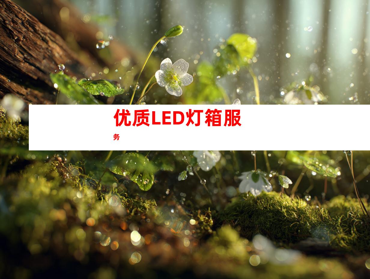 优质LED灯箱服务
