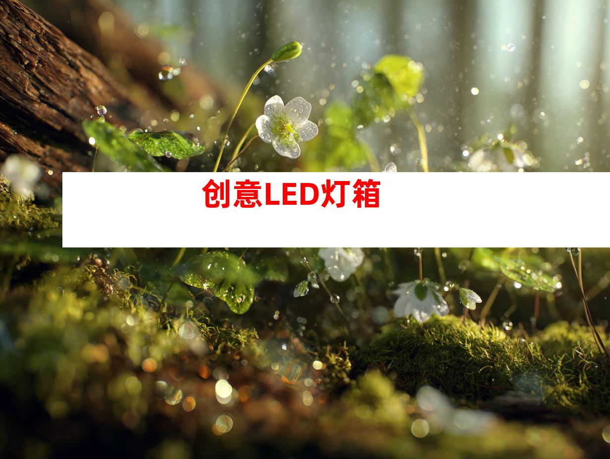 创意LED灯箱