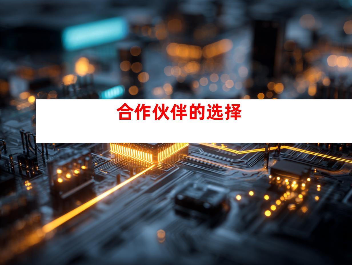 合作伙伴的选择