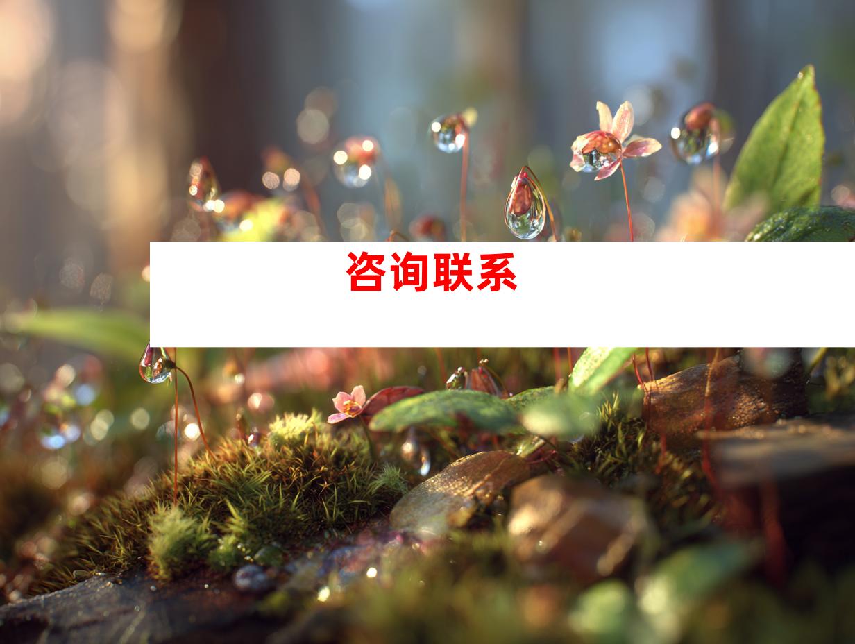 咨询联系