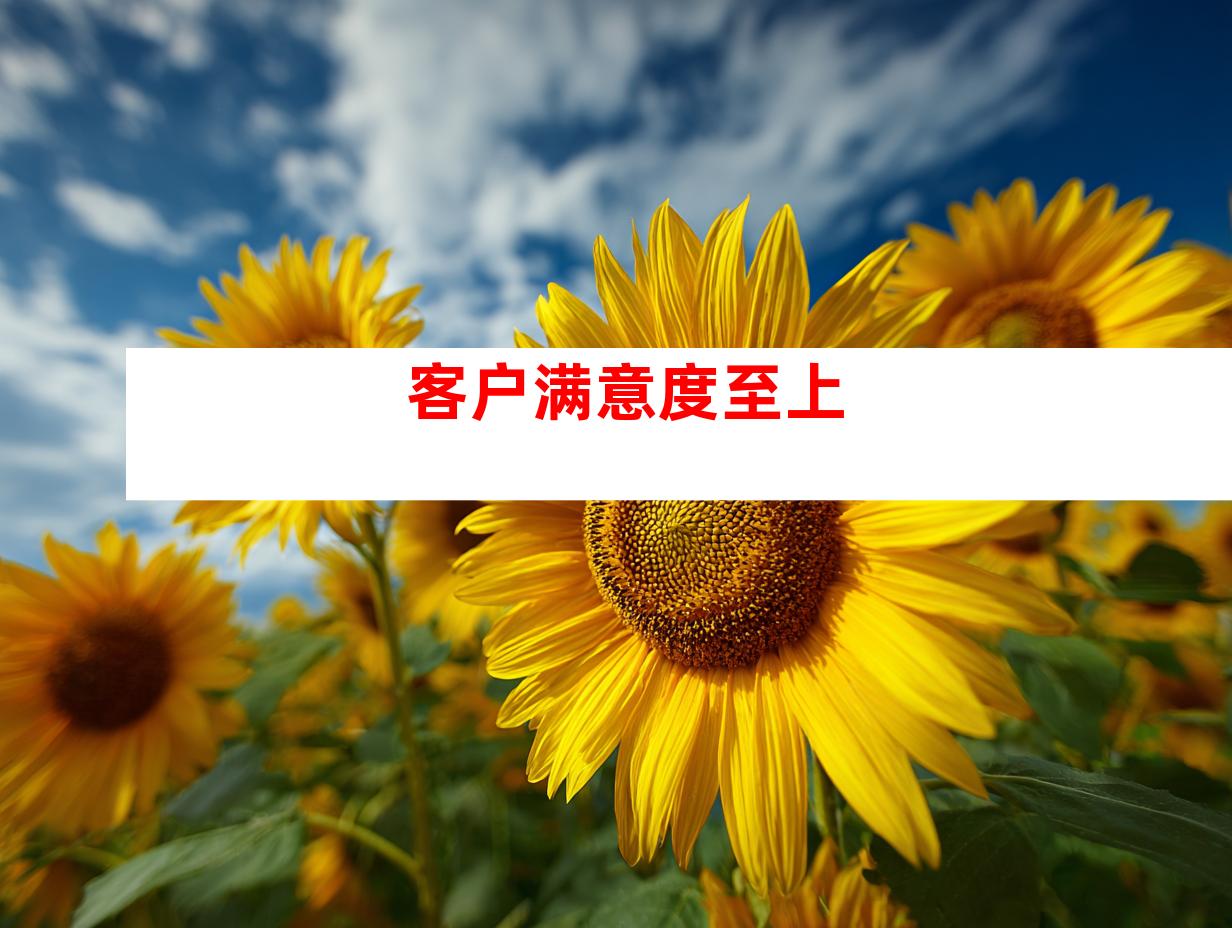 客户满意度至上