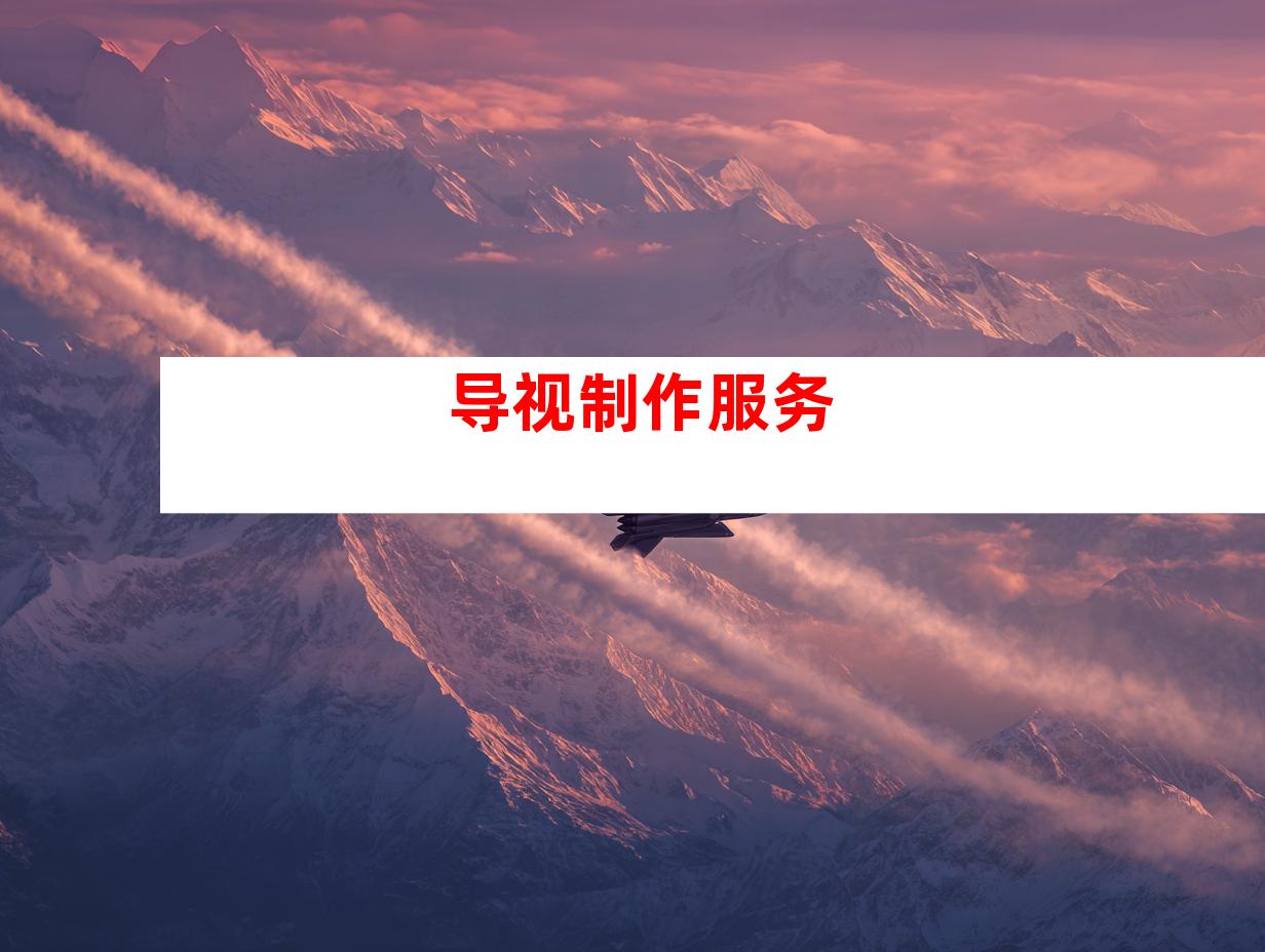 导视制作服务