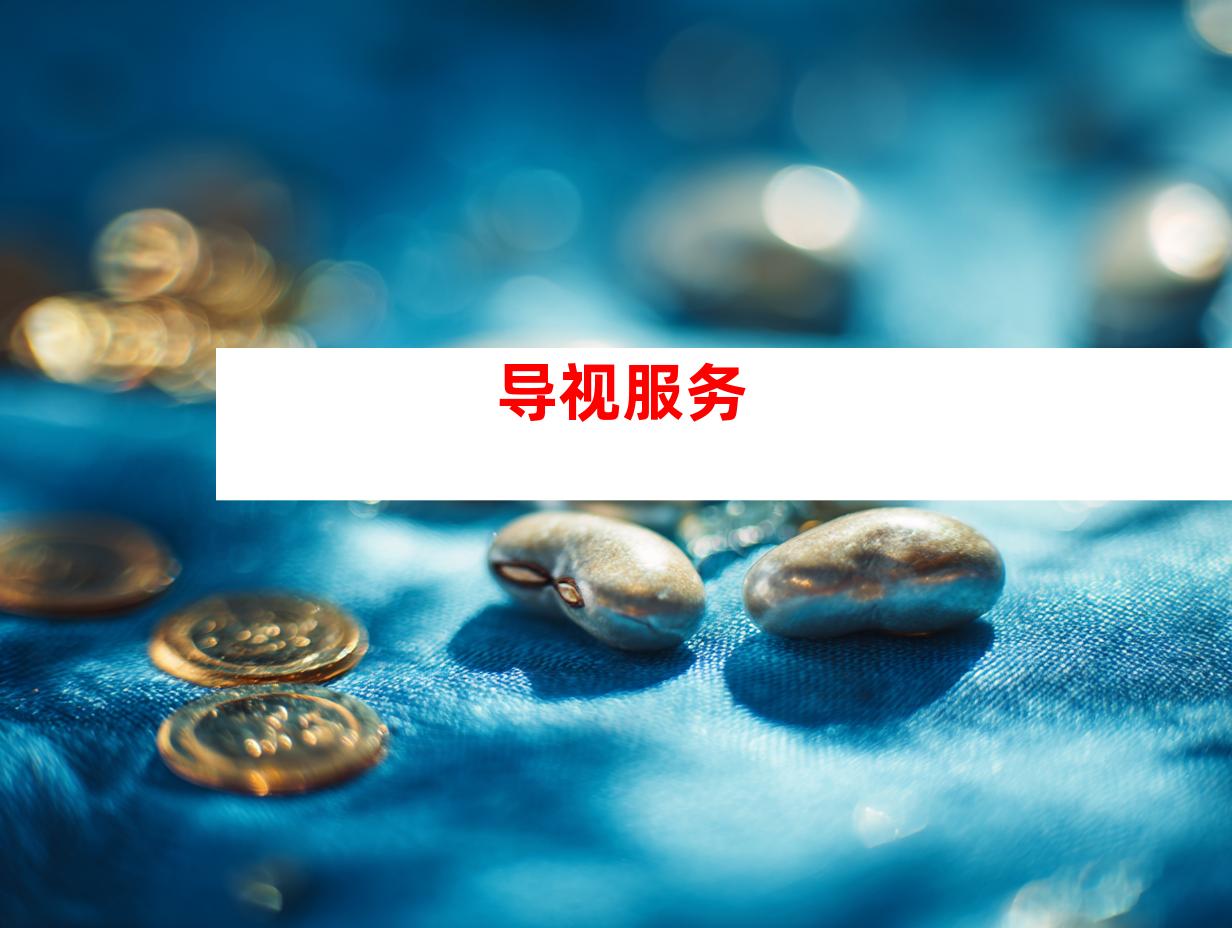 导视服务