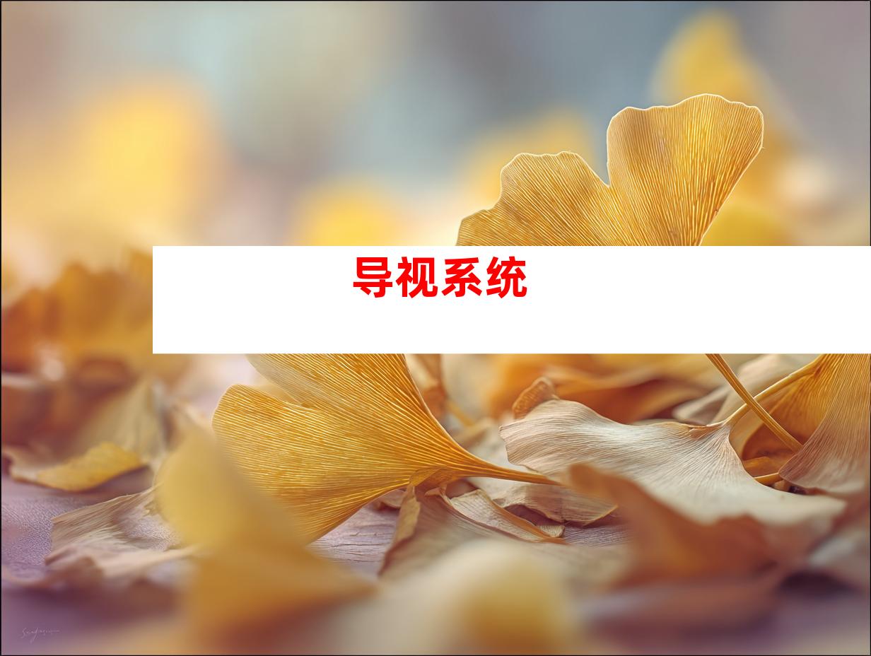 导视系统