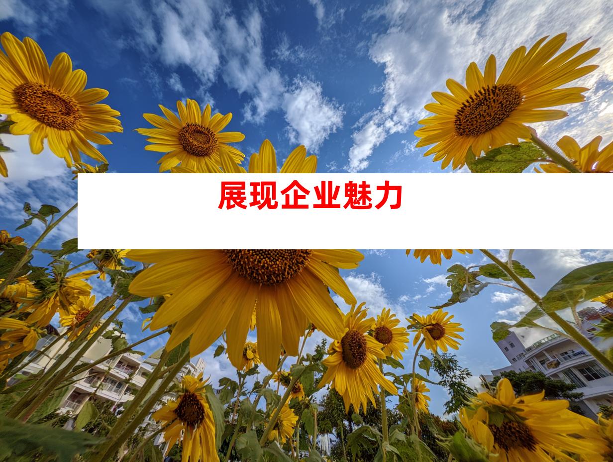 展现企业魅力