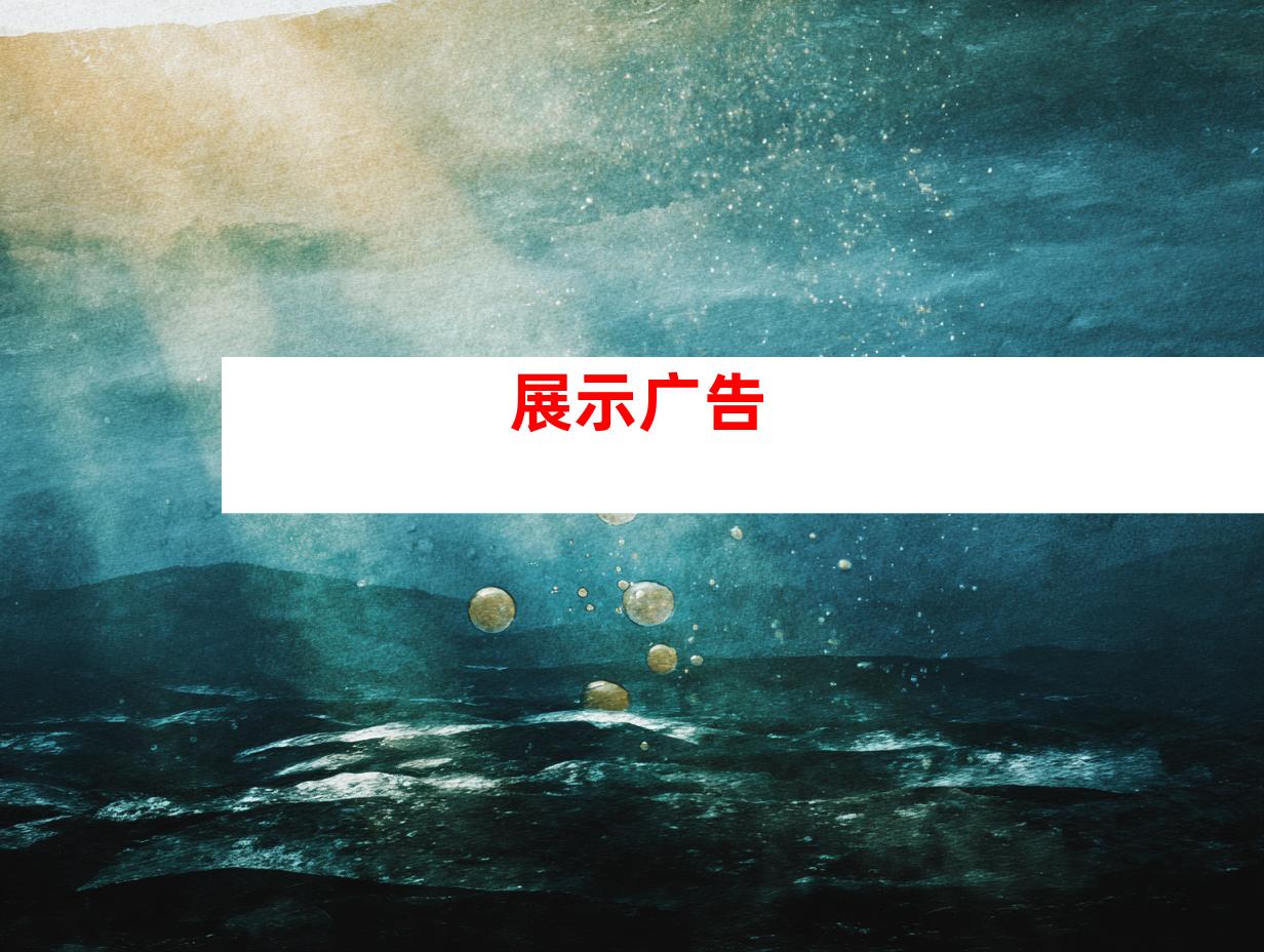 展示广告