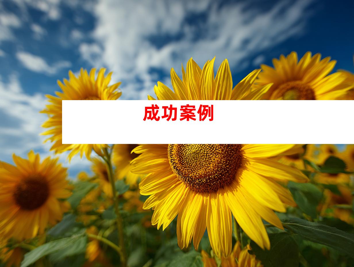 成功案例