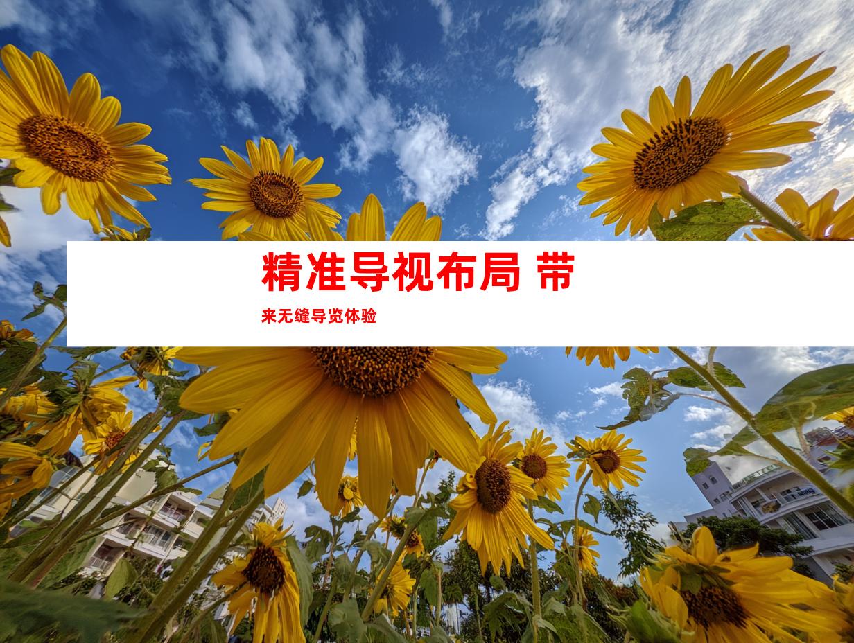 精准导视布局 带来无缝导览体验