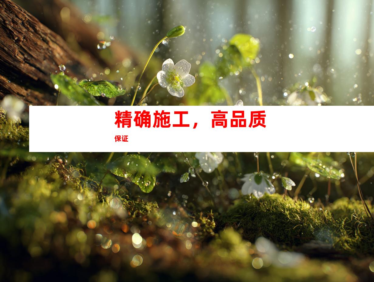精确施工，高品质保证