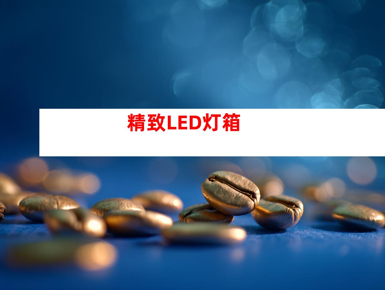 精致LED灯箱