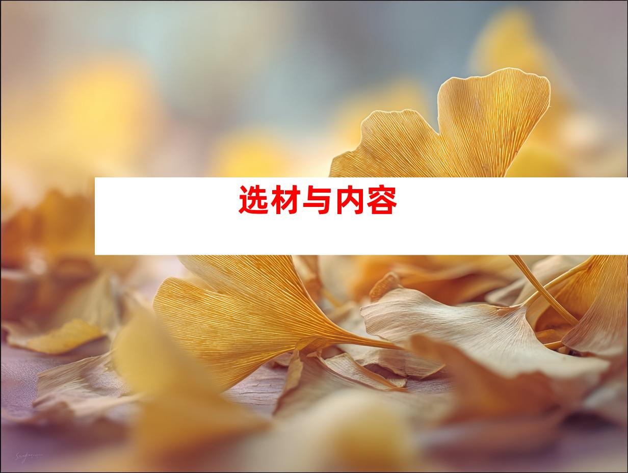 选材与内容