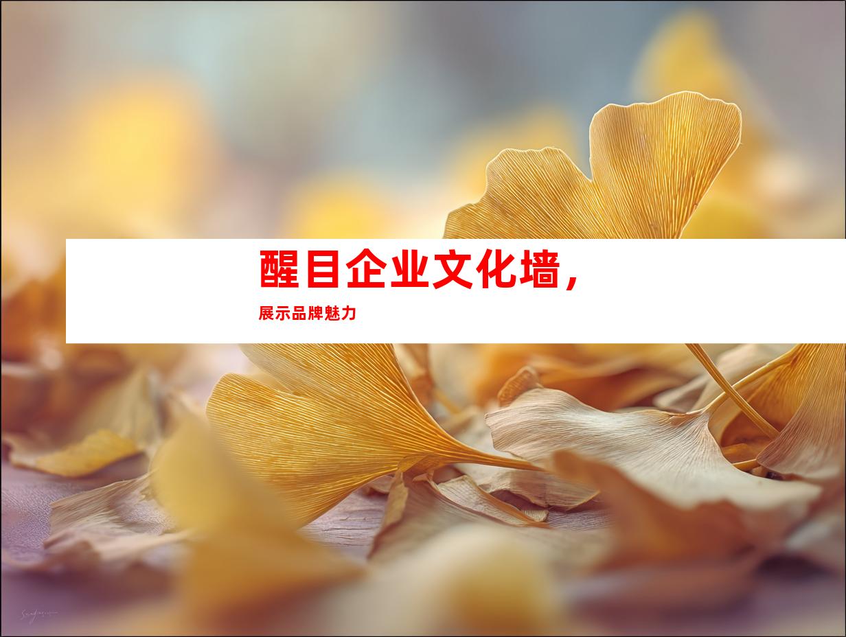 醒目企业文化墙，展示品牌魅力