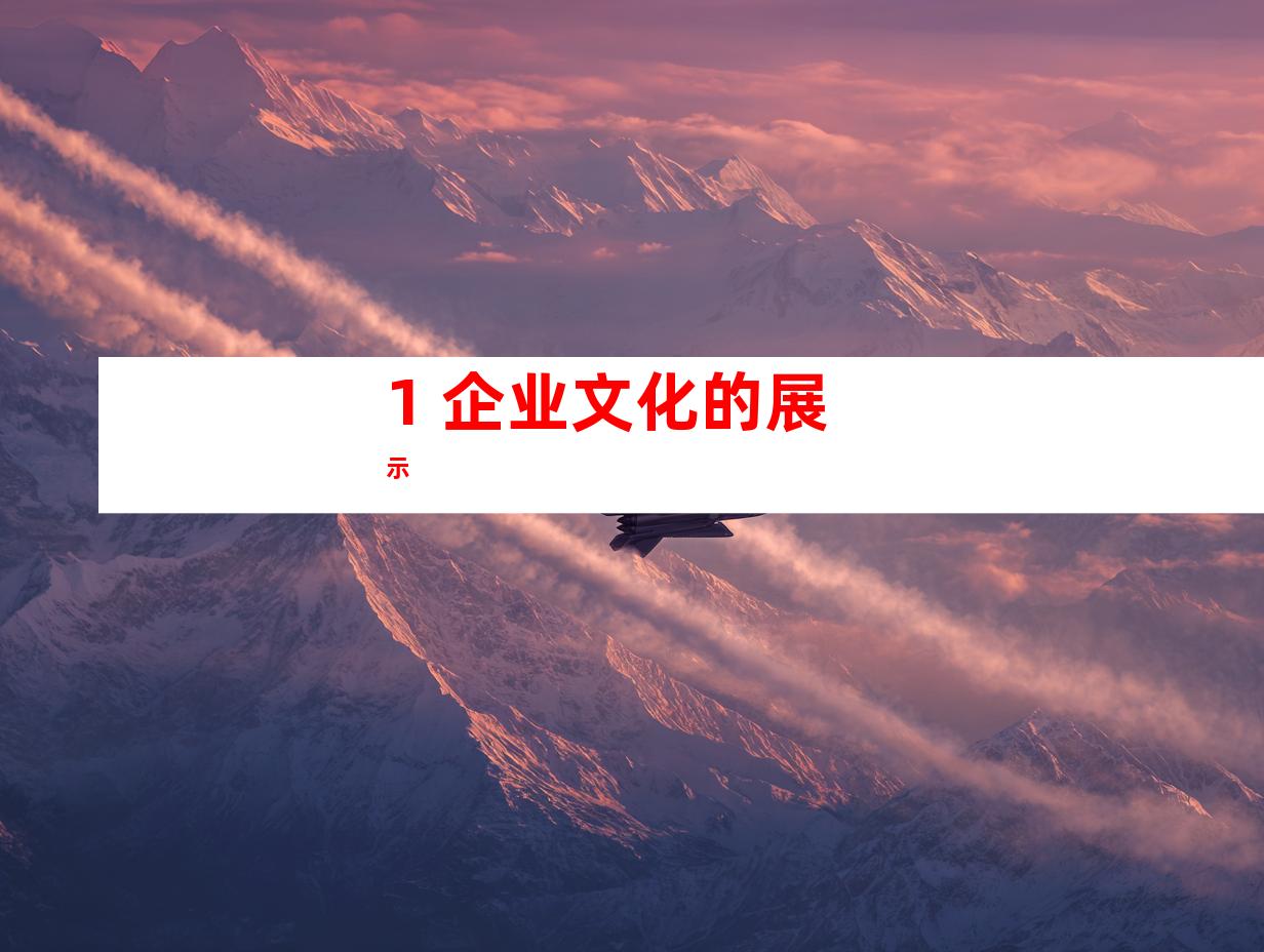 1. 企业文化的展示
