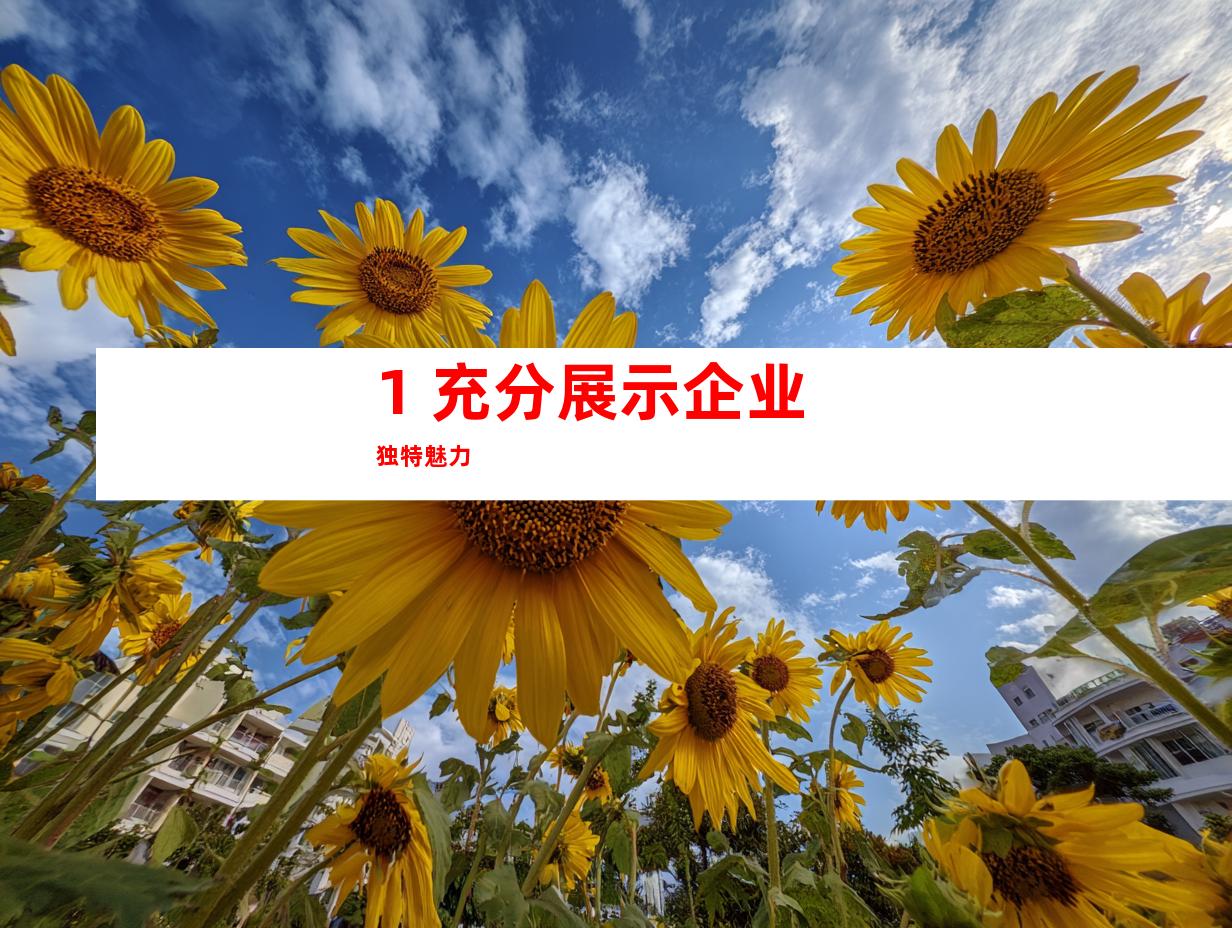 1. 充分展示企业独特魅力