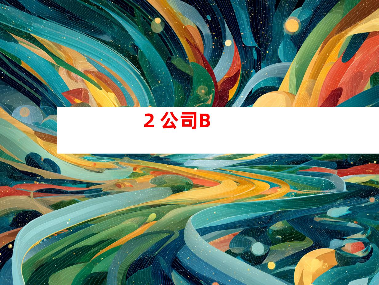 2. 公司B