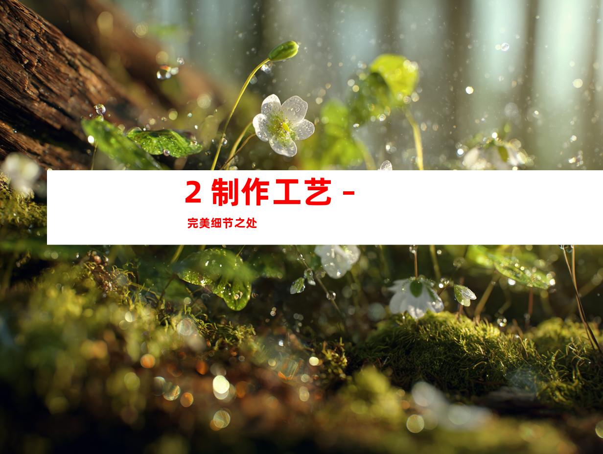 2. 制作工艺 – 完美细节之处