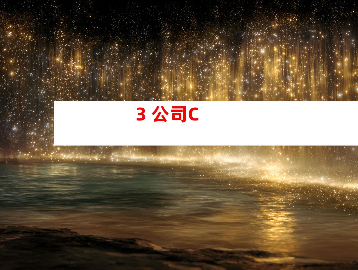 3. 公司C