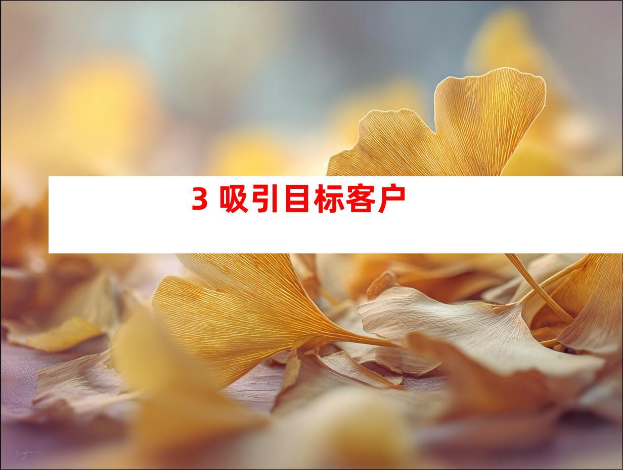 3. 吸引目标客户