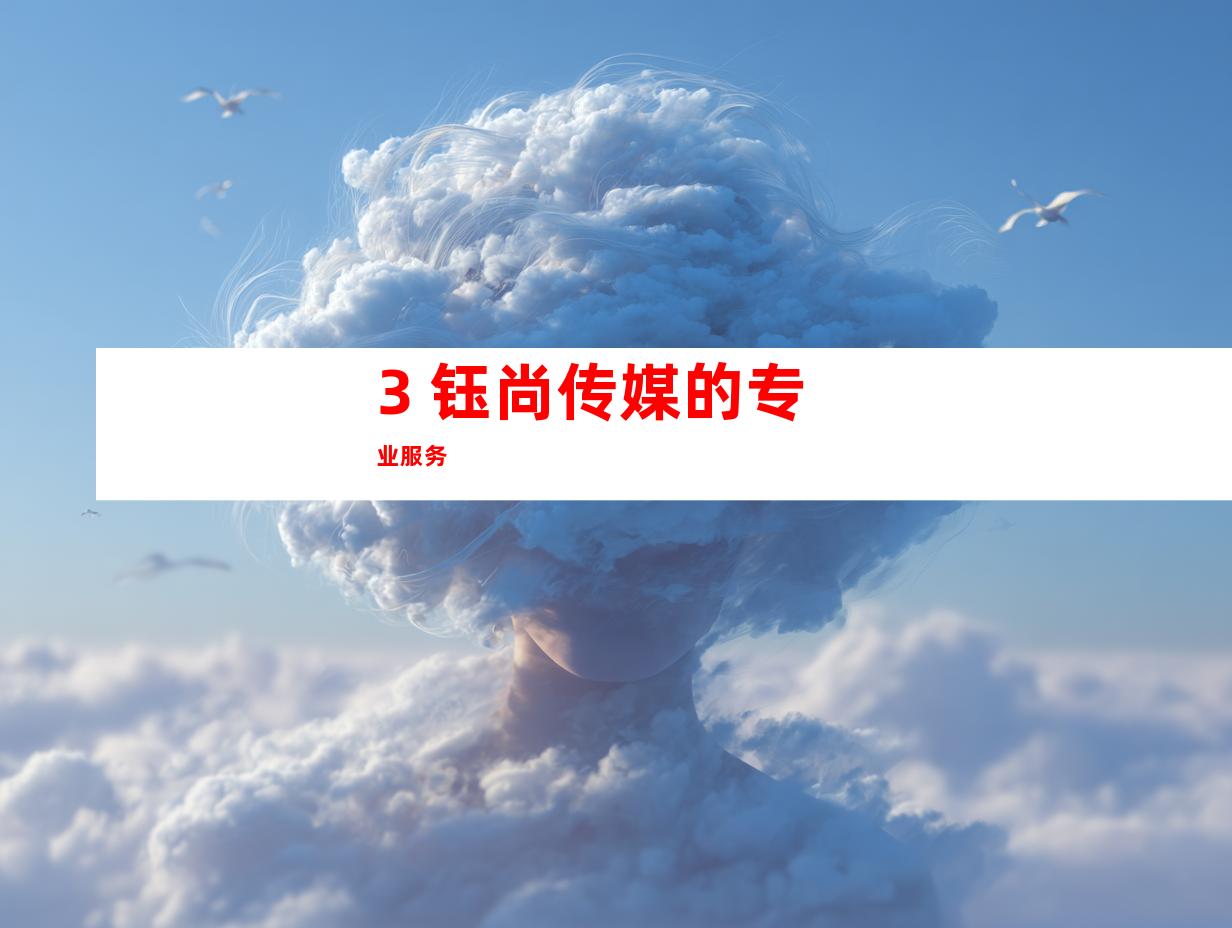 3. 钰尚传媒的专业服务